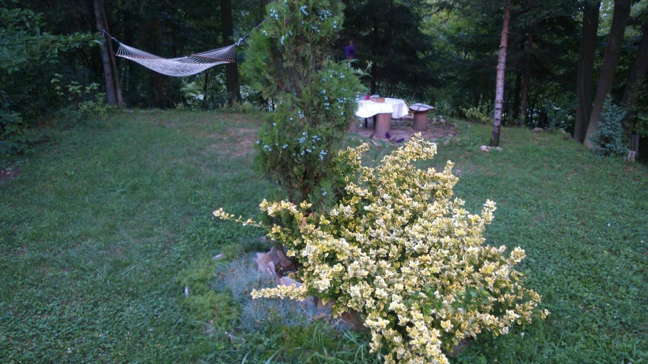 Tammaris Holiday Home วิโซโค ภายนอก รูปภาพ
