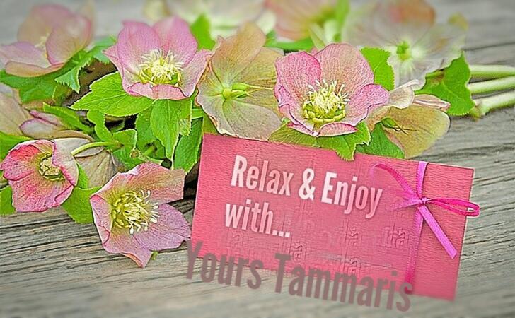 Tammaris Holiday Home วิโซโค ภายนอก รูปภาพ
