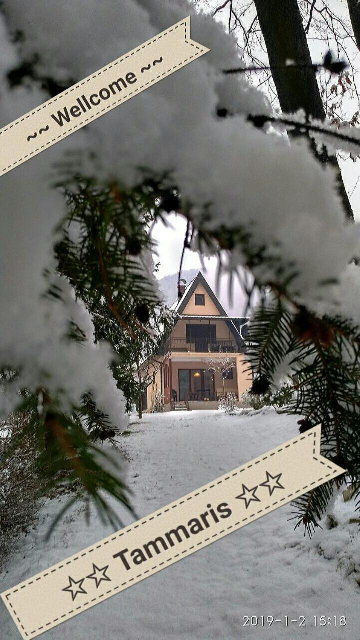 Tammaris Holiday Home วิโซโค ภายนอก รูปภาพ